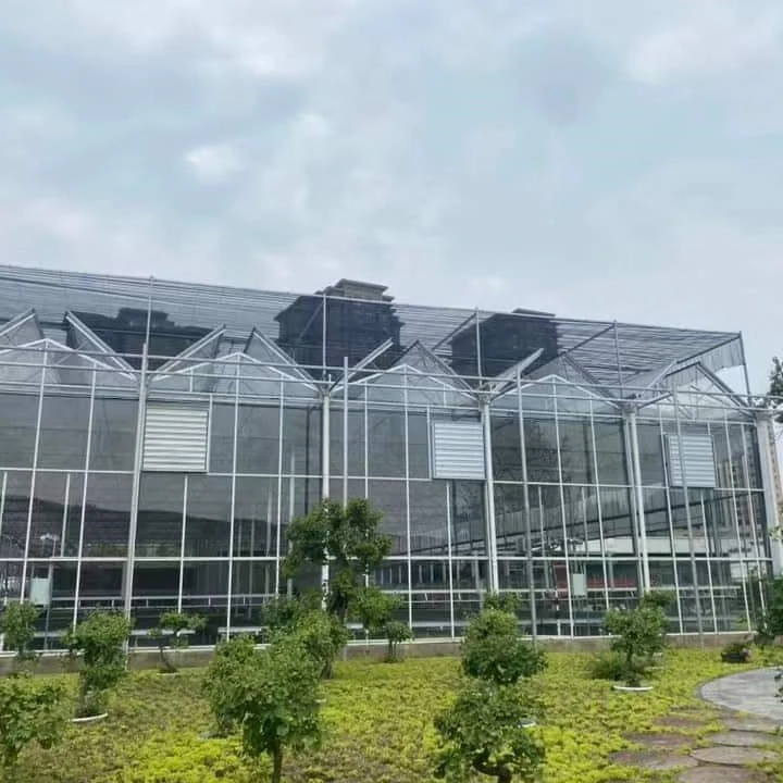 ガラス温室トマト