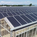 農業用太陽光発電ガラス温室